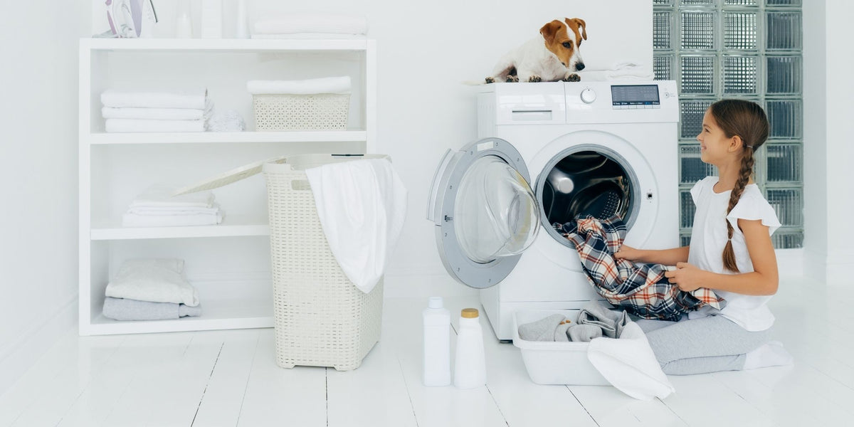 How to Properly Wash Your Dog Bed DreamCastle