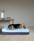 DreamCastle Dog Bed Regular Sized Dino Cover