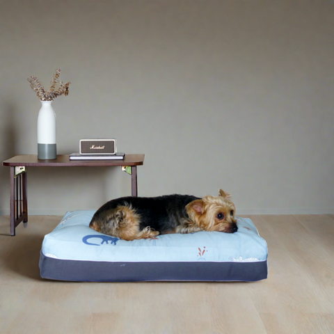 DreamCastle Dog Bed Regular Sized Dino Cover