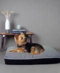 DreamCastle Dog Bed Dakota
