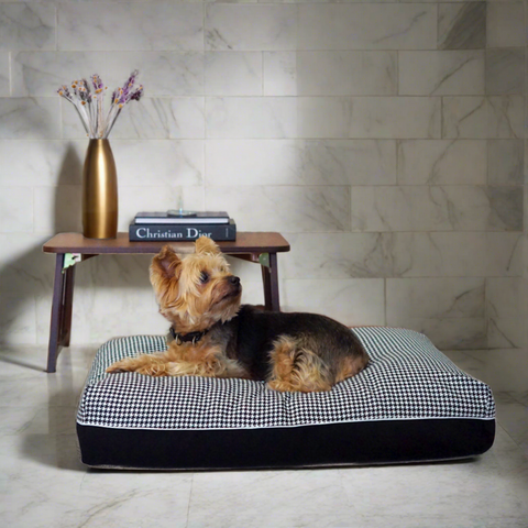 DreamCastle Cooling Dog Bed | For puppies to medium sized breed | Dakota