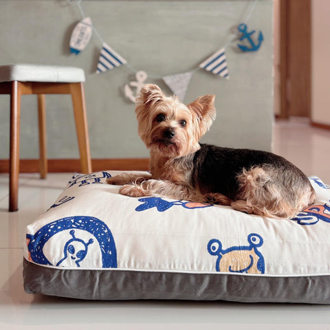 space design dog bed for small to medium sized dogs