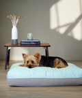DreamCAstle Dog Bed Dreamy Cover