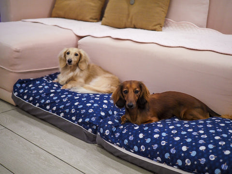 DreamCastle Cooling Dog Bed | For puppies to medium sized breed | Modern Cheongsam