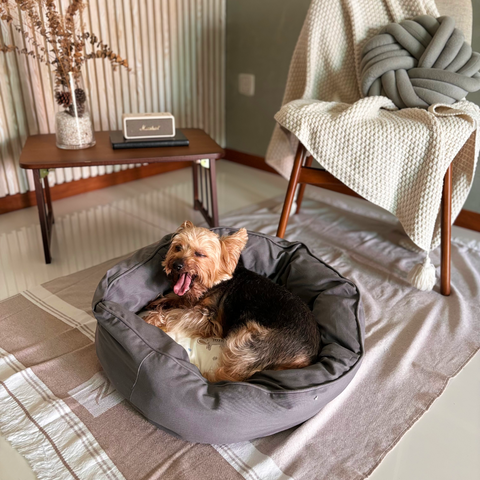 DreamCastle Cooling Round Dog Bed | For puppies to small sized breed | Little Zoo