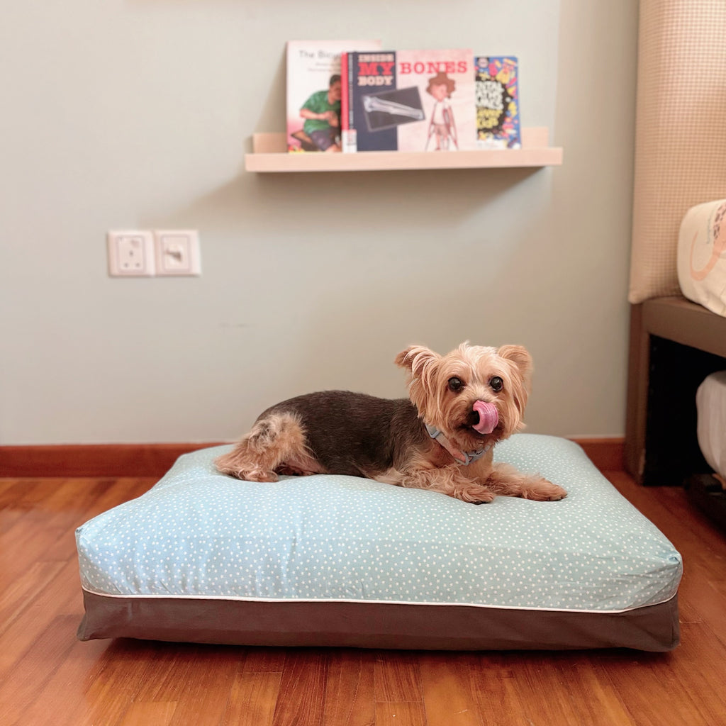 Soft Dog Bed for puppies Singapore