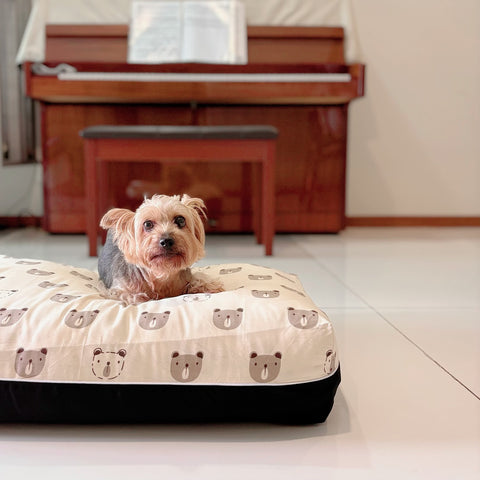 DreamCastle Cooling Dog Bed | For puppies to medium sized breed | Scandinavian Bear