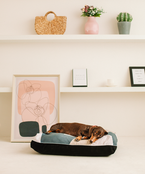 DreamCastle Orthopedic Dog Bed Singapore