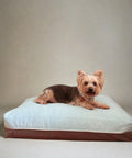 DreamCastle Dog Bed 