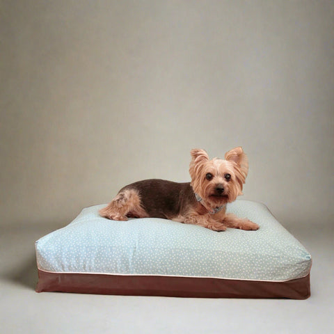 DreamCastle Dog Bed 