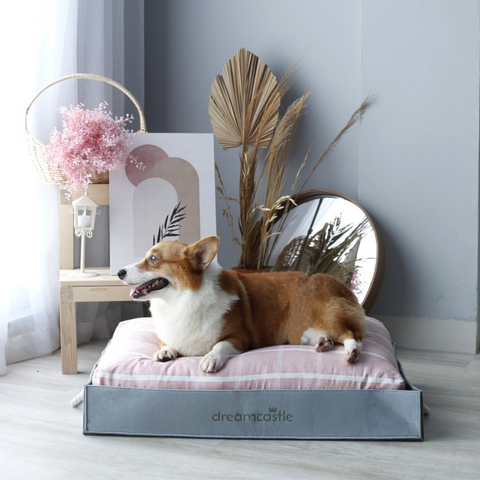 DreamCastle Cooling Dog Bed | For puppies to medium sized breed | Clara The Chirpy