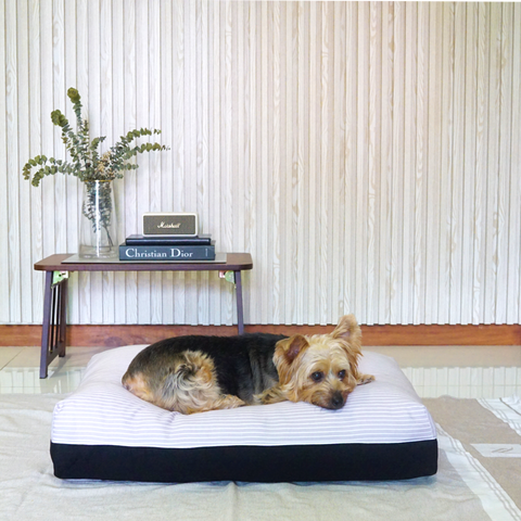 DreamCastle Cooling Dog Bed | For puppies to medium sized breed | Cookie