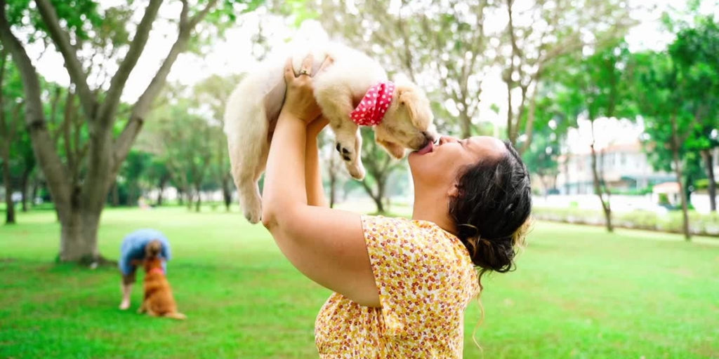 What you need to know before getting your first puppy in Singapore