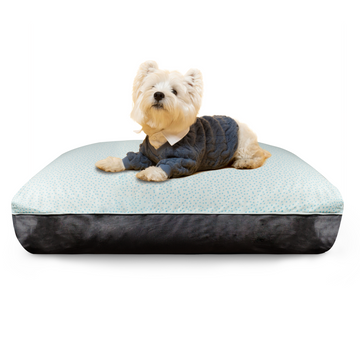 Dreamcastle Blue Little Star Cooling Dog Bed