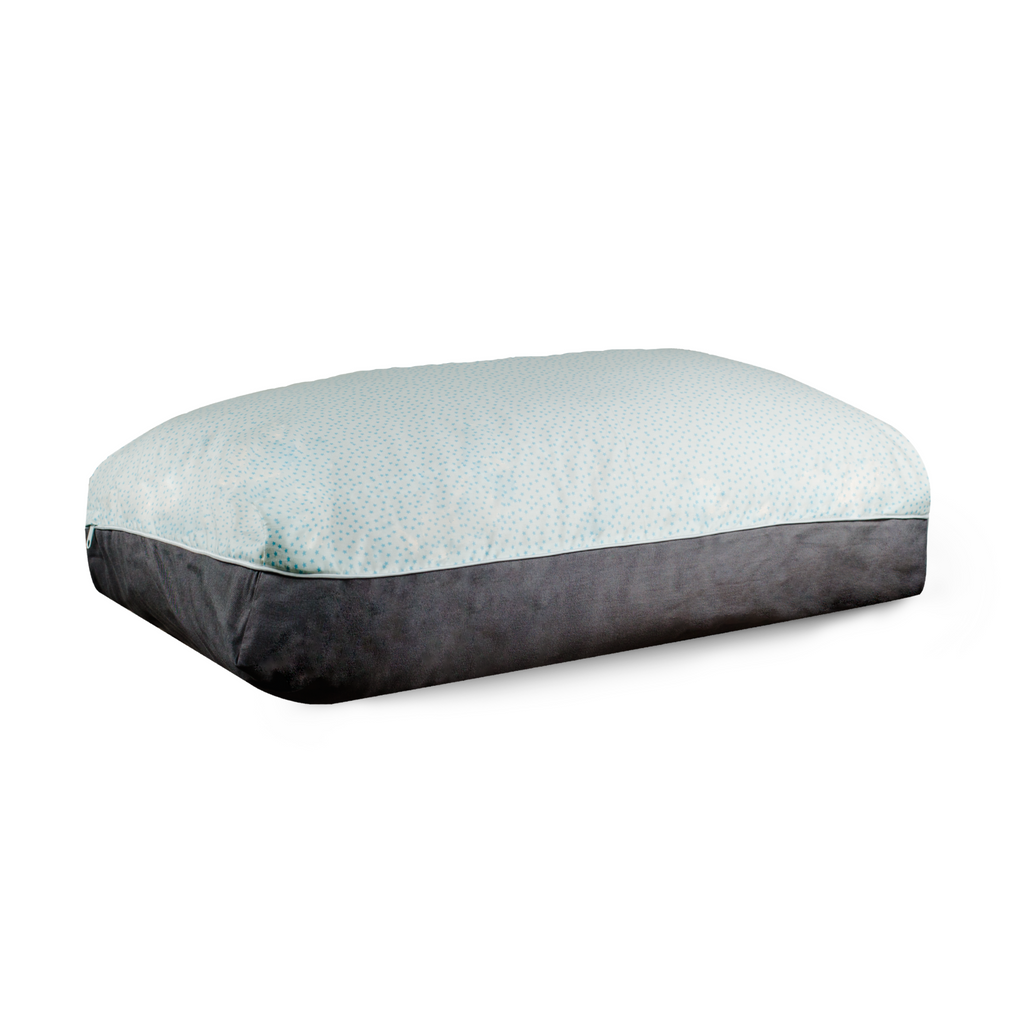 Blue LIttle Star Washable Cover Dog Bed ISngapore