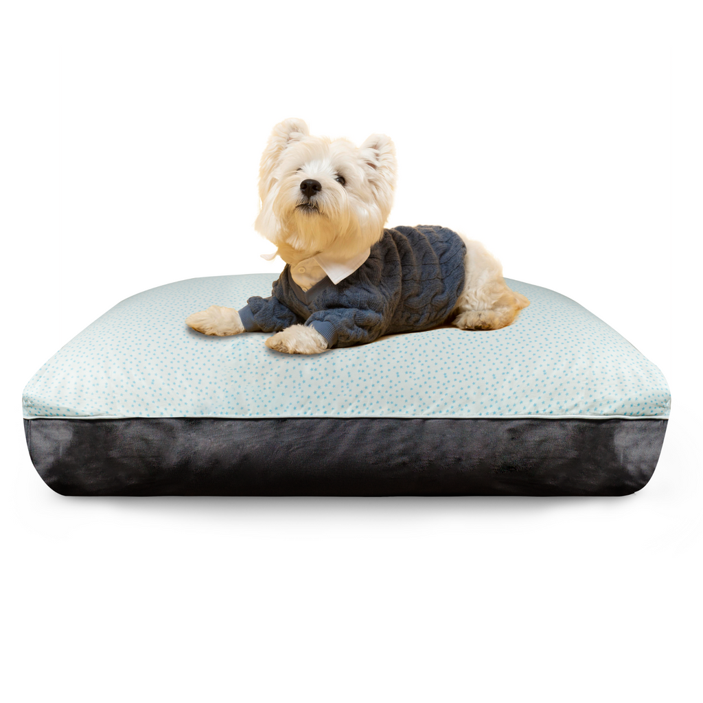 Blue Star Cosy Dog Bed Singapore