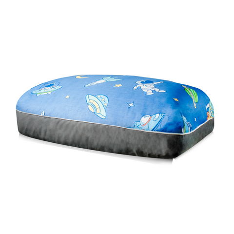 Dreamcastle Space Shuttle dog Bed designer