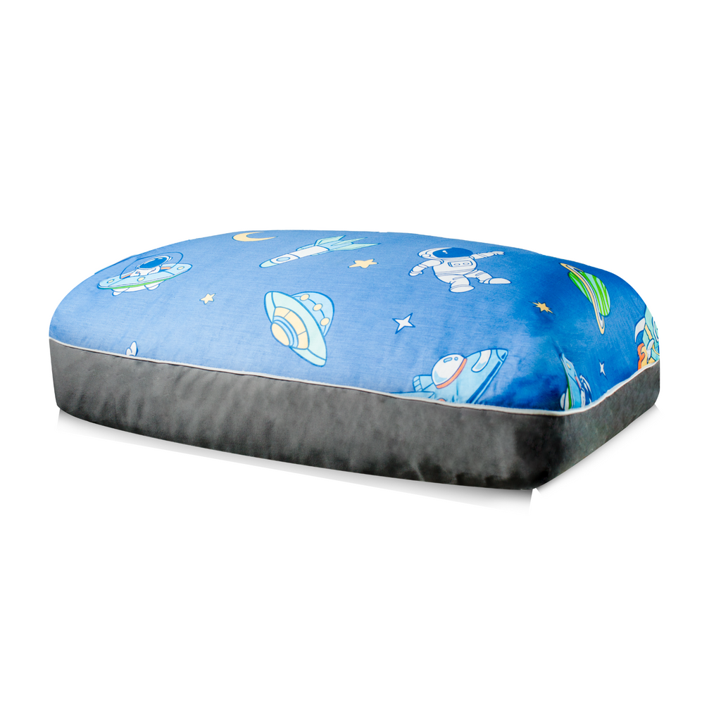 Space shuttle dog bed cover signapore