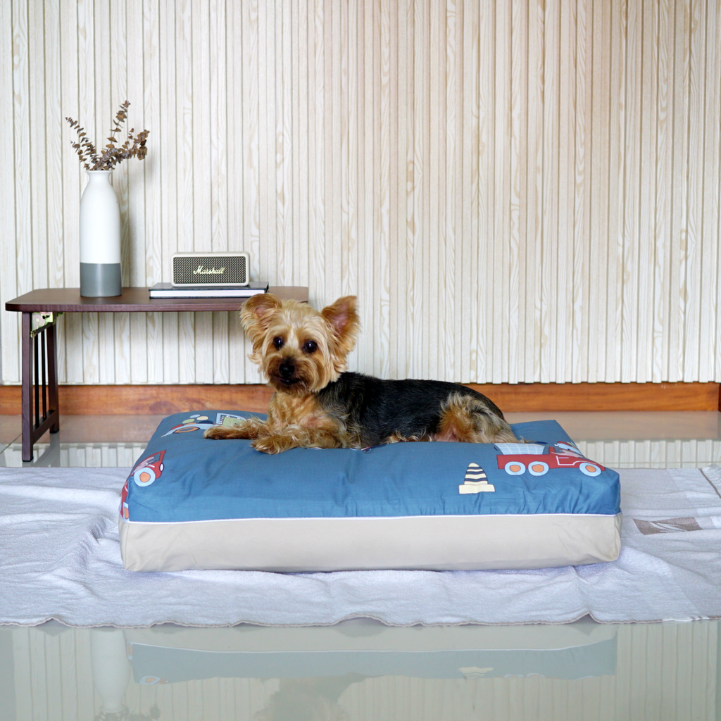 Contractor Dreamcastle Dog Bed for Singapore weather