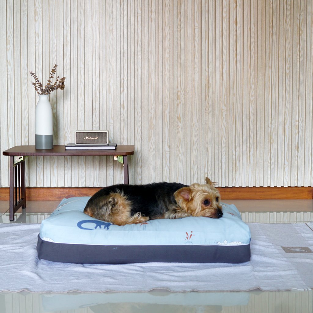 Dinosaur Design Dog Bed for Singapore Weather