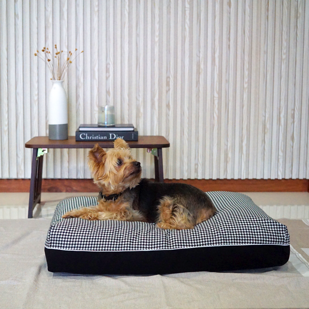 dreamcastle dakota cooling washable dog bed