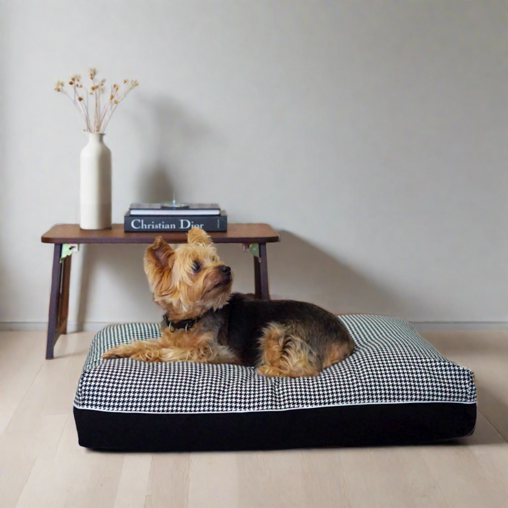 best dog bed in singapore