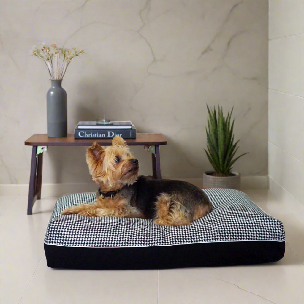 Dreamcastle luxury dog bed 