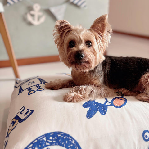 plush dog bed for comfort singapore