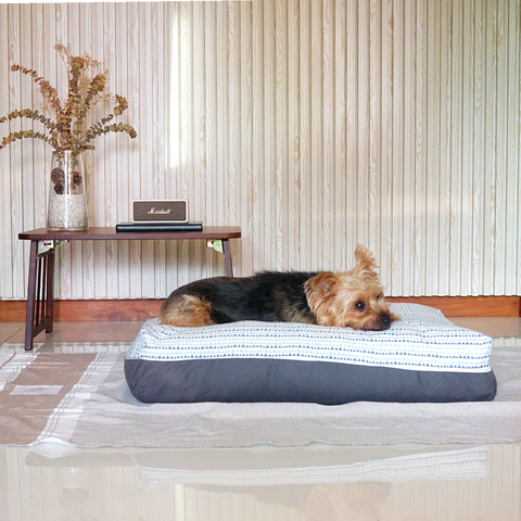 Hope Dreamcastle dog bed new arrivals