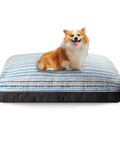 Hope voted best dog bed singapore