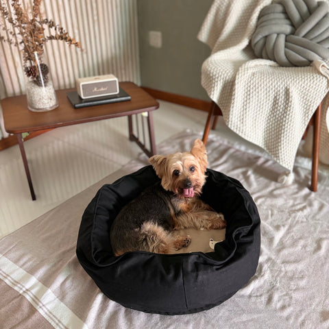 DreamCastle Cooling Round Dog Bed | For puppies to small sized breed | Bear