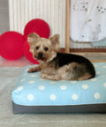 polka dot cosy dog bed singapore