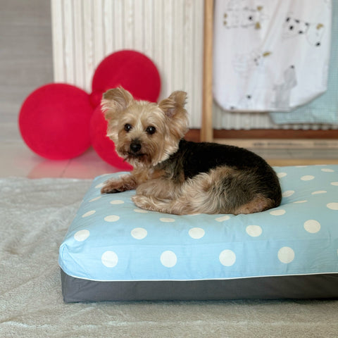 polka dot cosy dog bed singapore