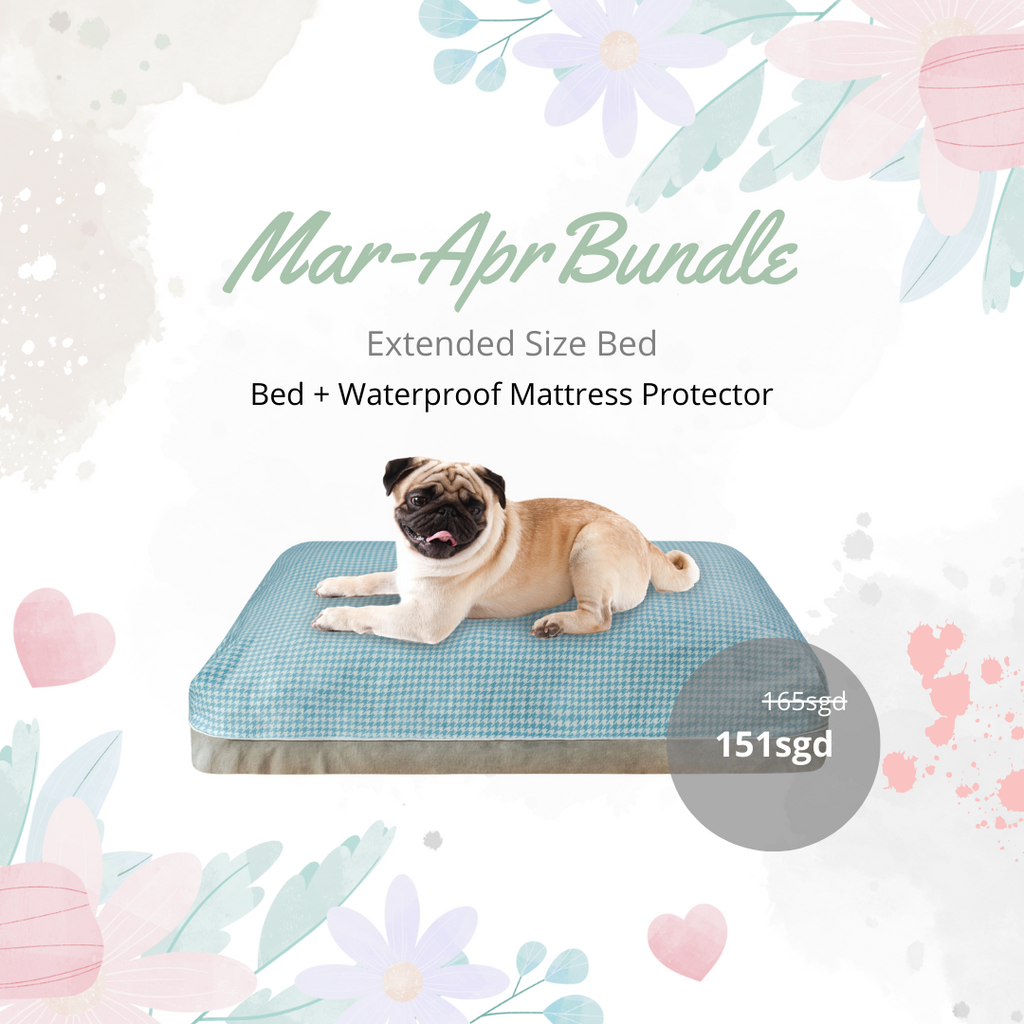 Cooling dog bed bundle Dreamcastle