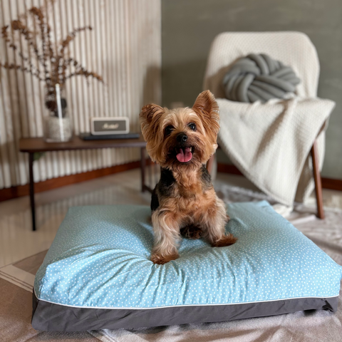 Nightstar Dog Bed Cover for sensitive skin