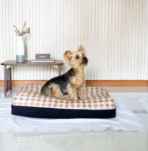 Oxford Dreamcastle Cooling Dog Bed