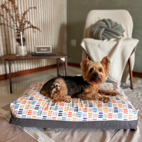 Rainbow Dreamcastle lifestyle cooling dog bed