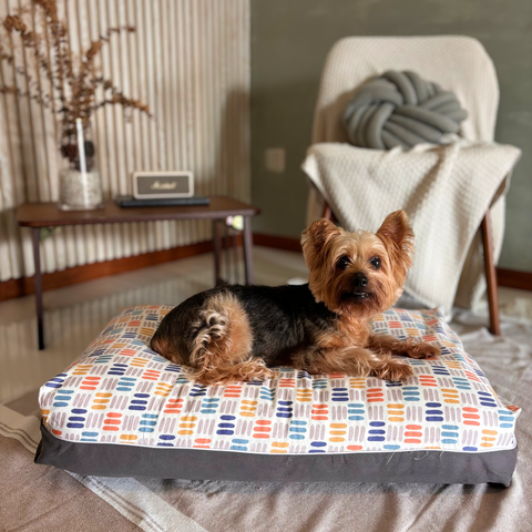 Rainbow Dreamcastle Cooling Dog bed SIngapore