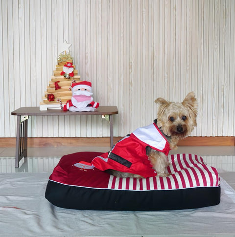 Christmas Dog Bed for puppies and medium sized dog