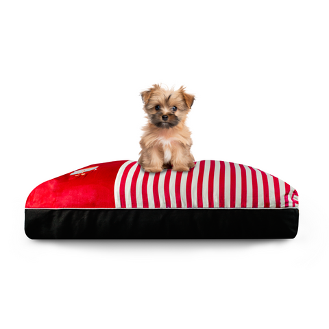 DreamCastle Cooling Dog Bed | For puppies to medium sized breed | Santa