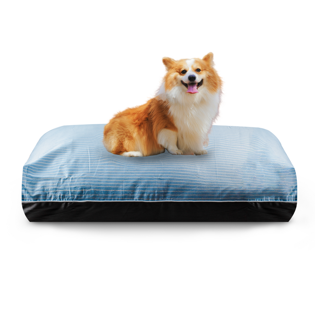 Sky Voted Best Dog Bed in Singapore