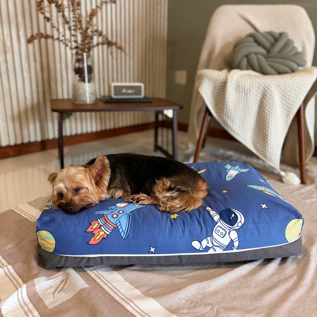 Space Shuttle Dreamcastle dog bed
