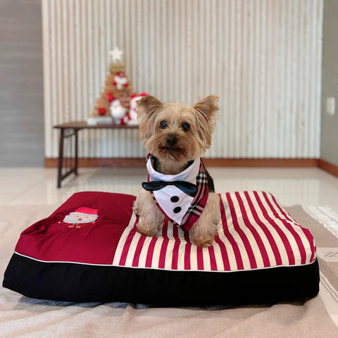 Christmas Dog Bed Singapore Gift for Pet
