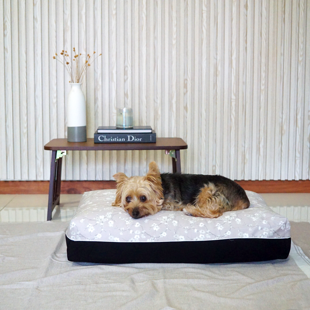 Dreamcastle Cooling medium sized Dog Bed 