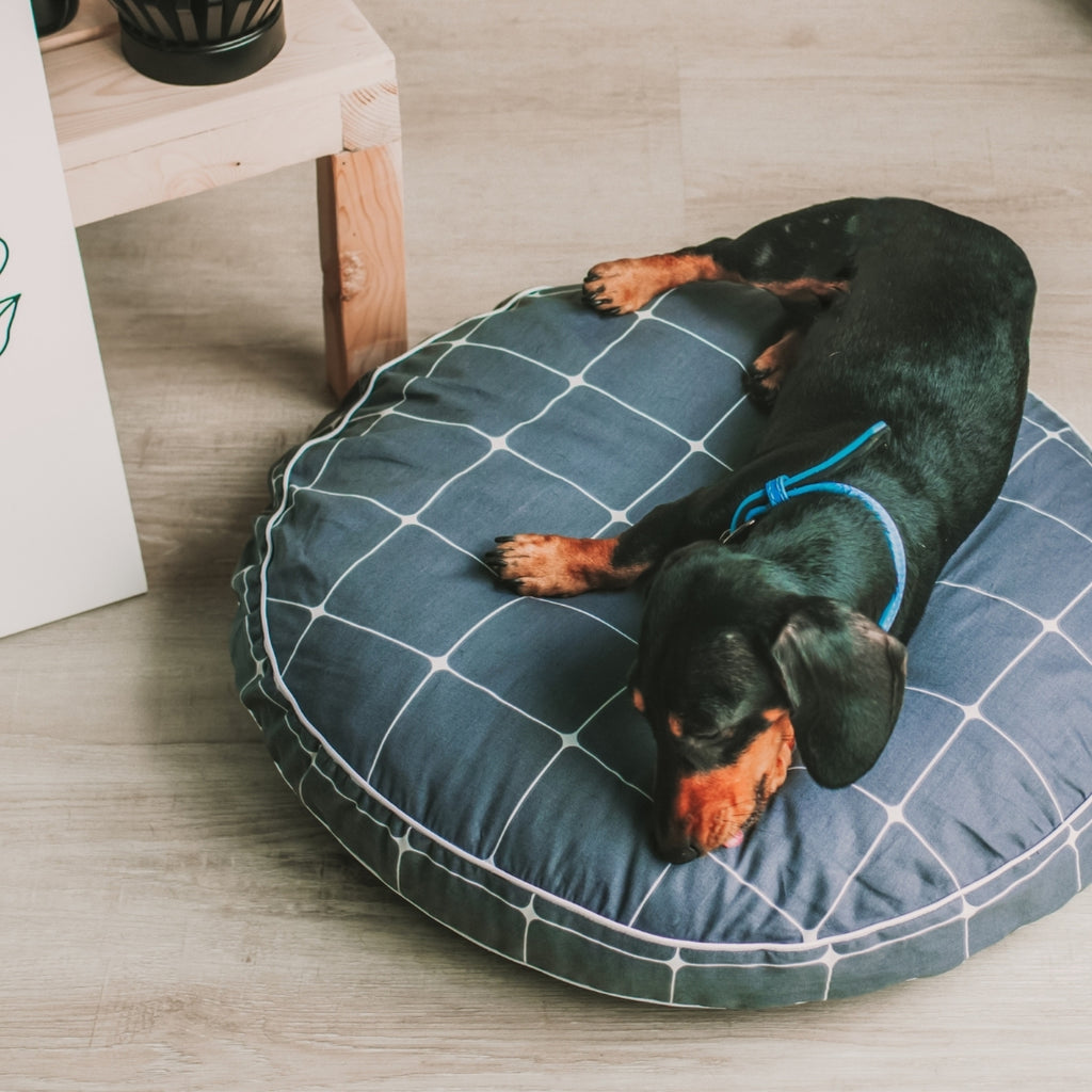 Dhoby DreamCastle Dog Bed
