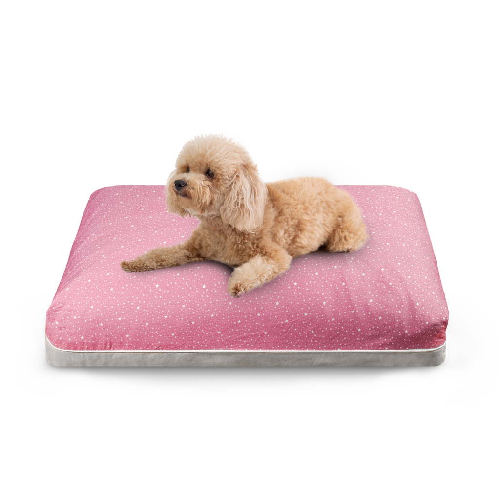 Dreamcastle Designer Dog Bed Made with natural material