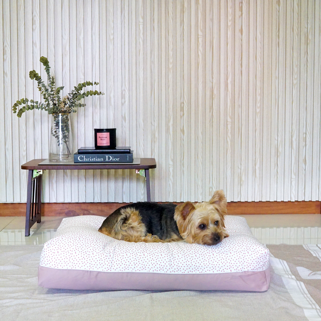 Priscilla Dreamcastle Cooling Dog Bed Medium Size
