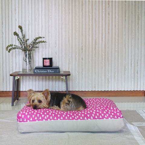 Puppy comfortable dog bed singapore